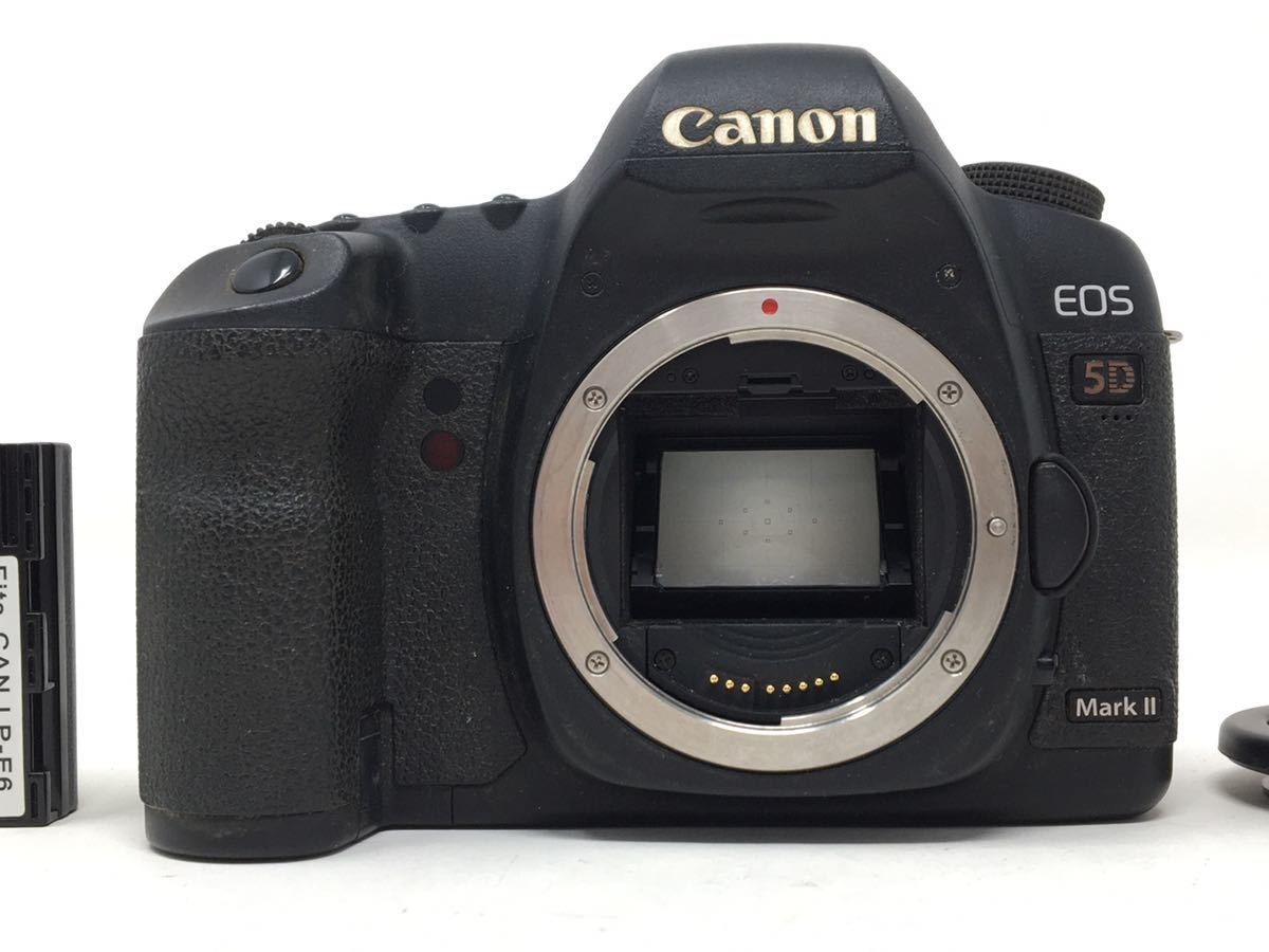 メール便全国送料無料 Canon EOS 5D Mark II 21.1 MP デジタル一眼