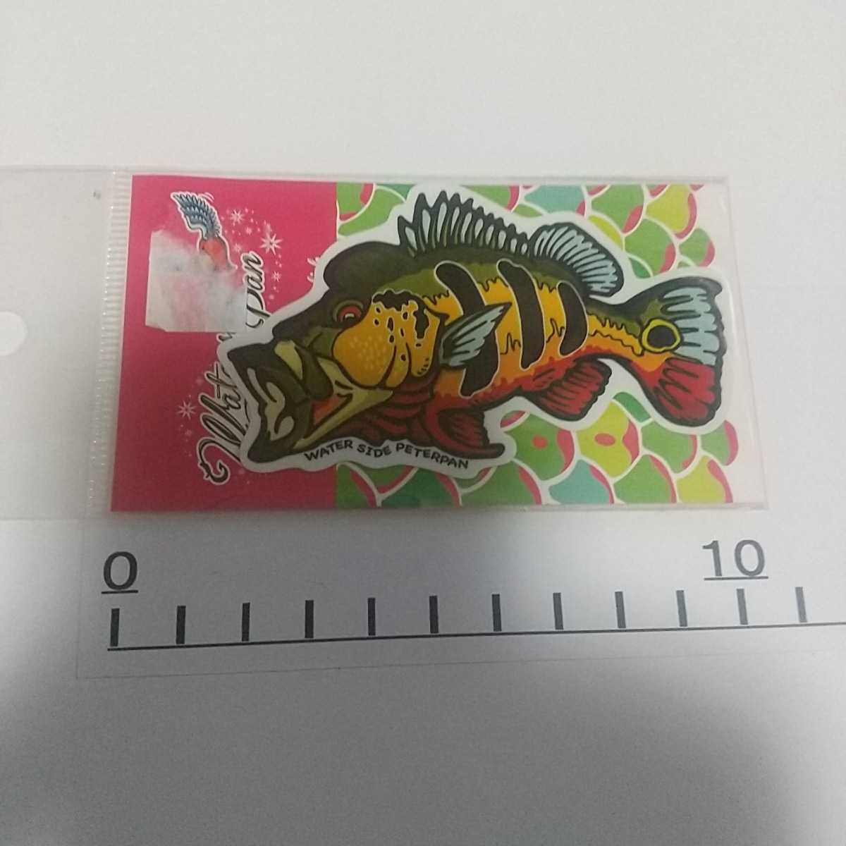 ウォーターサイドピーターパン　ステッカー　シール　ピーコックバス　ピーコック　怪魚　_画像1