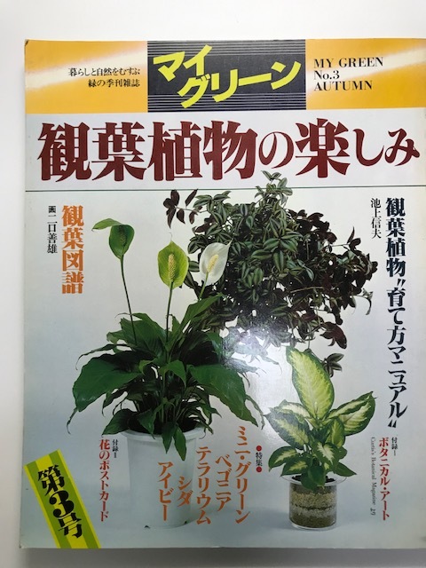 観葉植物の楽しみ ＜マイグリーン 3＞_画像1