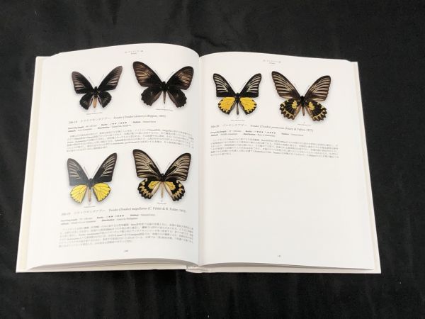 0u1k2aB003 世界のアゲハチョウ図説 著者 中江 信 昆虫文献 六本脚 