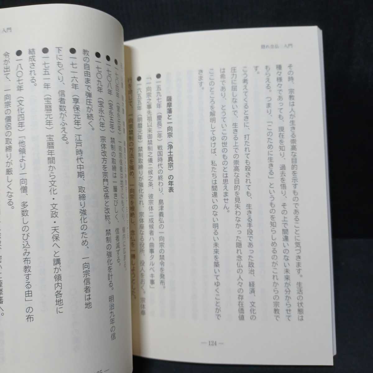 「隠れ念仏の叫び　平和の鐘をならそう!」向坊弘道　念仏禁制　隠密布教師　一向宗　浄土真宗　本願寺　親鸞聖人　_画像7