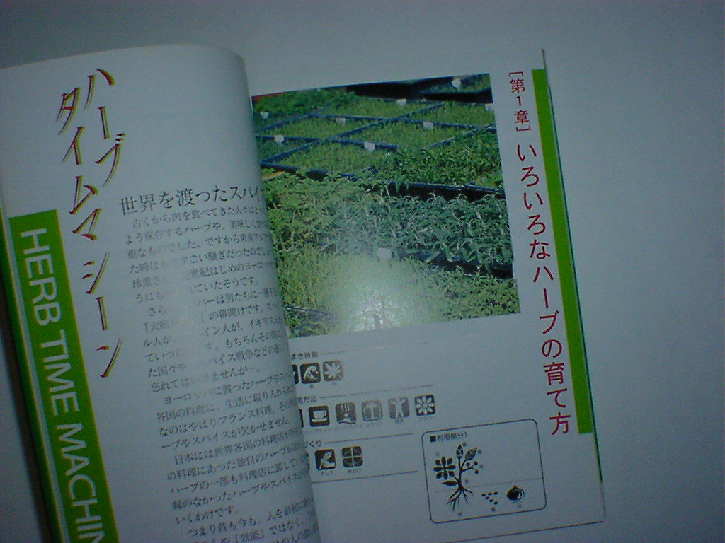  green. Mahou Tsukai herb. world 