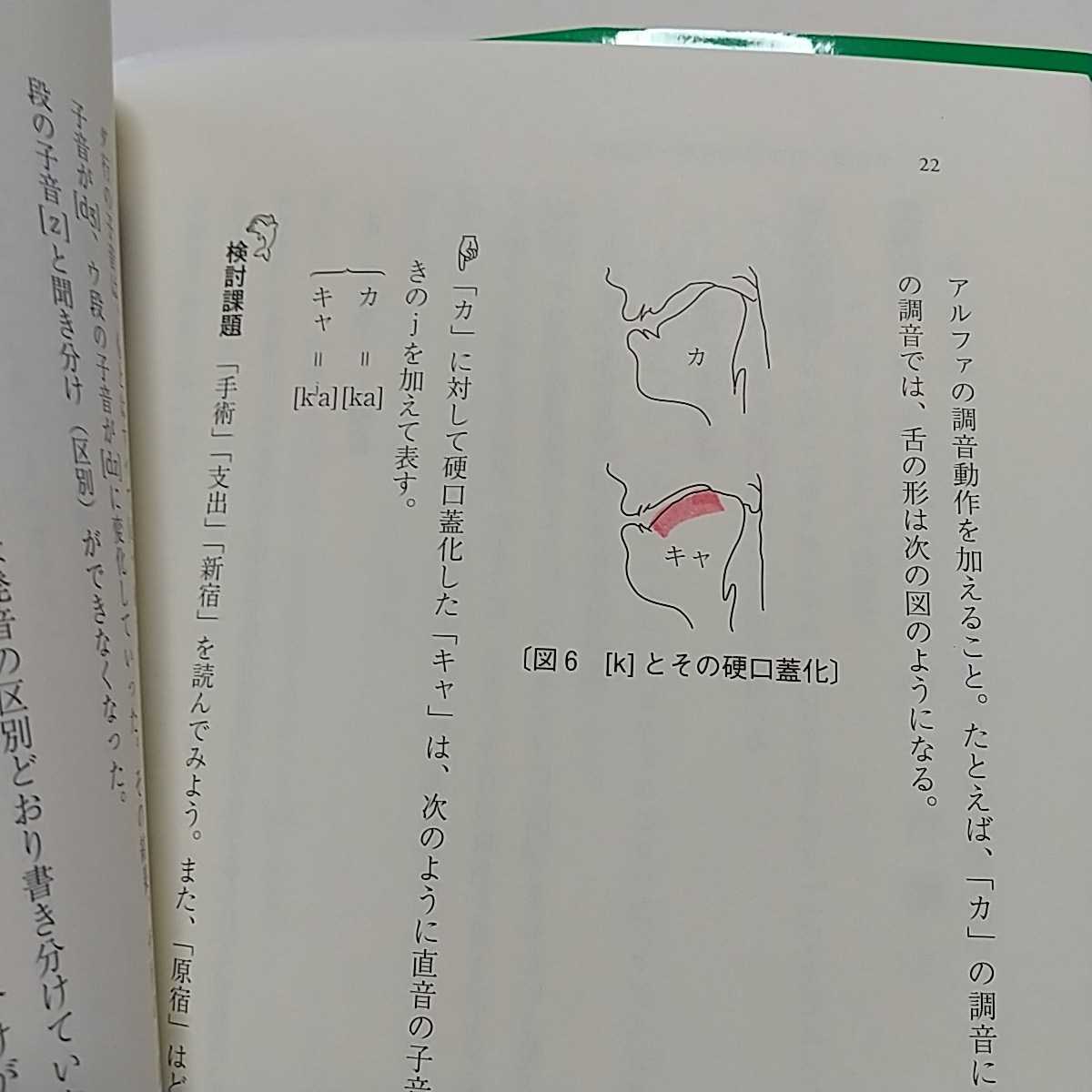 緑の日本語学教本 藤田保幸 日本語学の基礎を学ぶ 和泉書院 初版 言語学 概論 テキスト 大学 08881F004_画像4