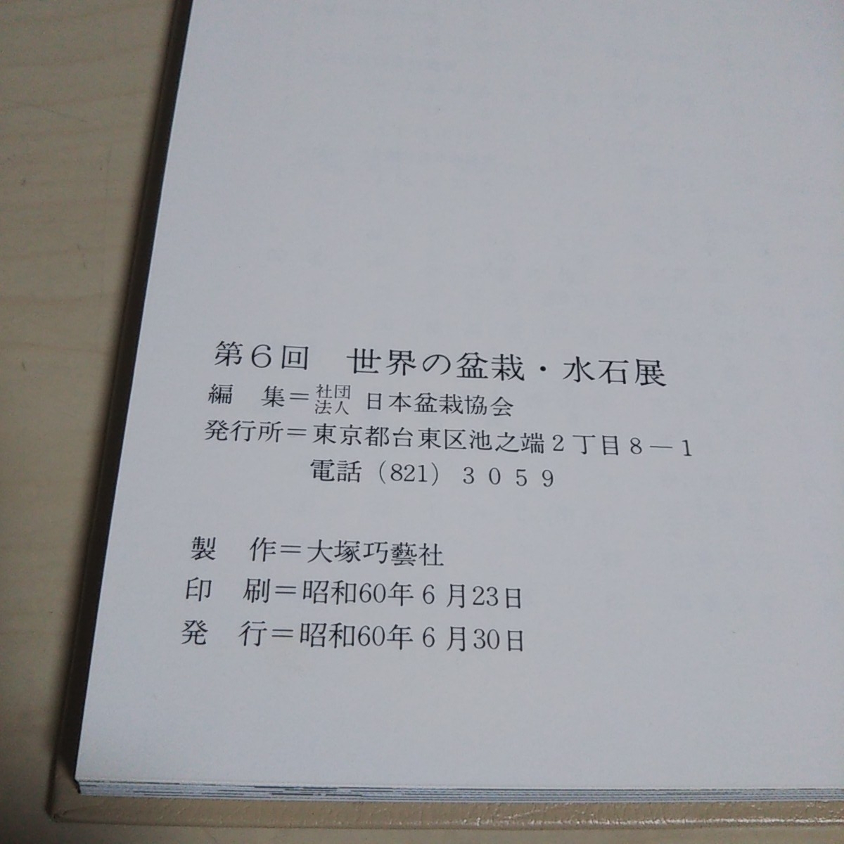 第6回 世界の盆栽・水石展 日本盆栽協会 1985 日本万国博15周年記念 外箱有 松