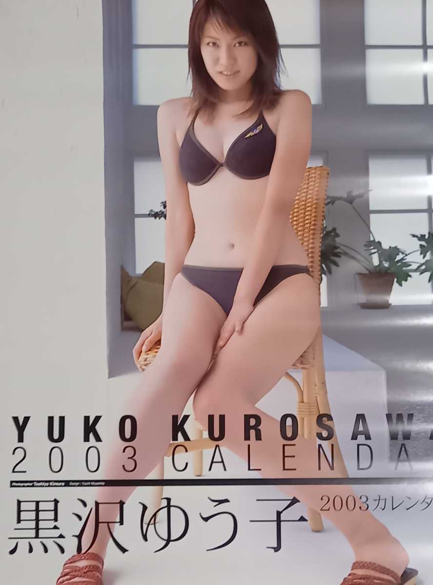 送料無料即決!酒井若菜 ぶ厚 2004年 カレンダー B2サイズ 7枚 送料無料即決!酒井若菜 ぶ厚 2004年 カレンダー B2サイズ 7枚