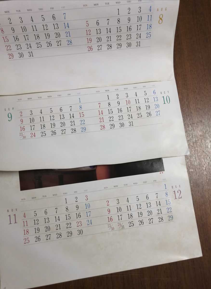  Asano Yuko 1990 year calendar Heisei era 2 year unused long-term keeping goods 