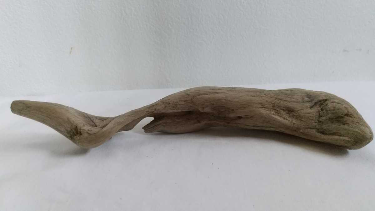 75* driftwood * reptiles breeding * perch * insect breeding * insect breeding * display 