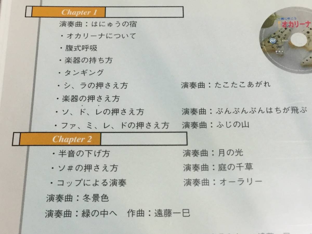 ◇再生面キズ少 動作OK◇一緒に吹こう楽しい オカリーナ入門 DVD 国内正規品 セル版 オカリナ 遠藤一巳 即決_画像3