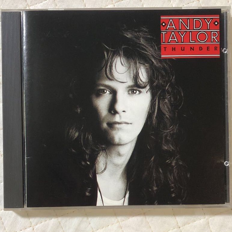 国内盤 アンディ・テイラー / Andy Taylor / Thunder / Duran 国内盤 アンディ・テイラー / Andy Taylor / Thunder / Duran