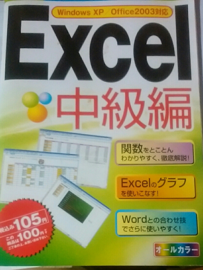 ＥＸＣＥＬ　中級　ダイソーパソコンブックシリーズ　WindowsXP 　オフィス２００３対応　￥1出品アイテム_画像1