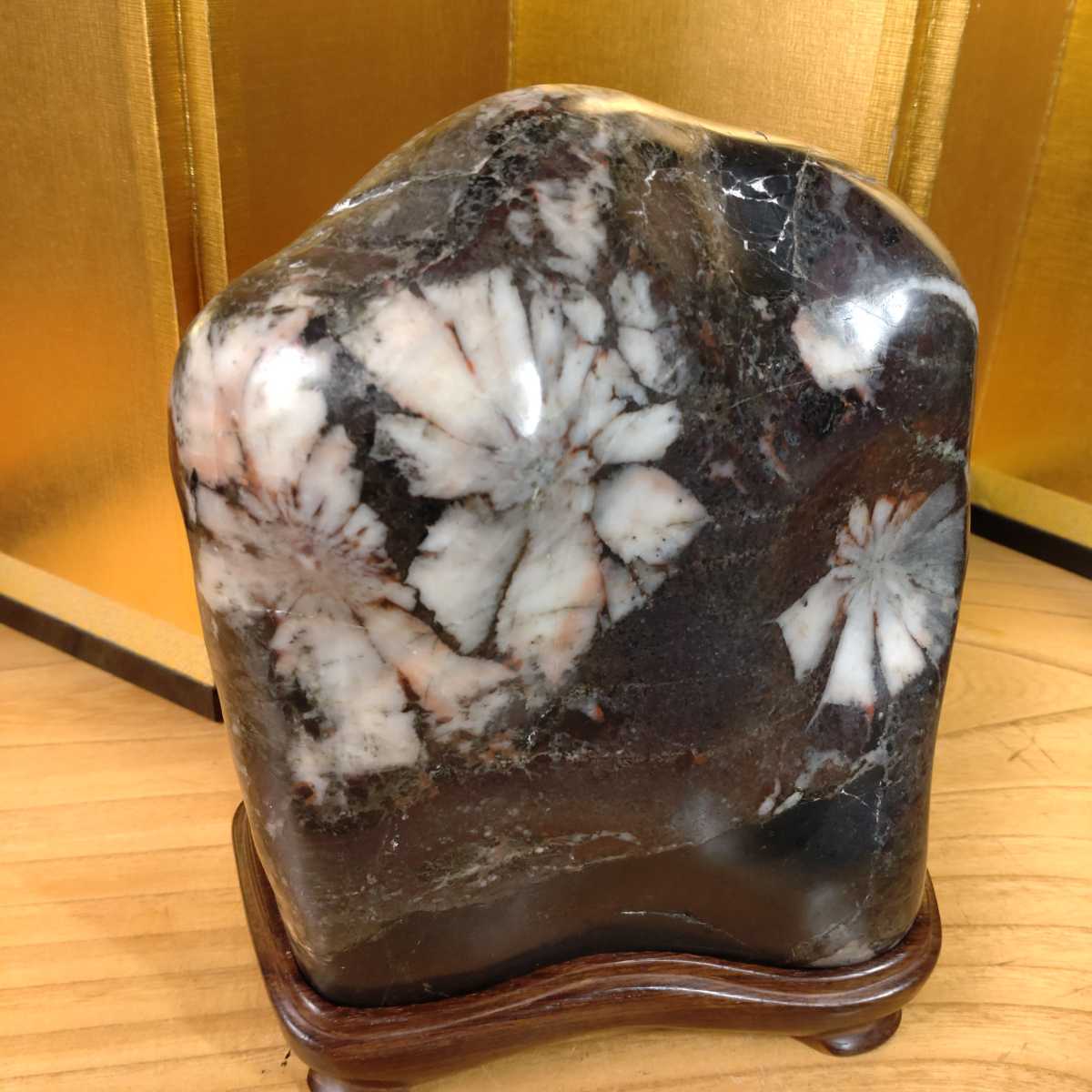 菊花石 岐阜県根尾谷産6.5㌔ 鑑賞石 観賞石 鉱物 天然石 水石 盆石