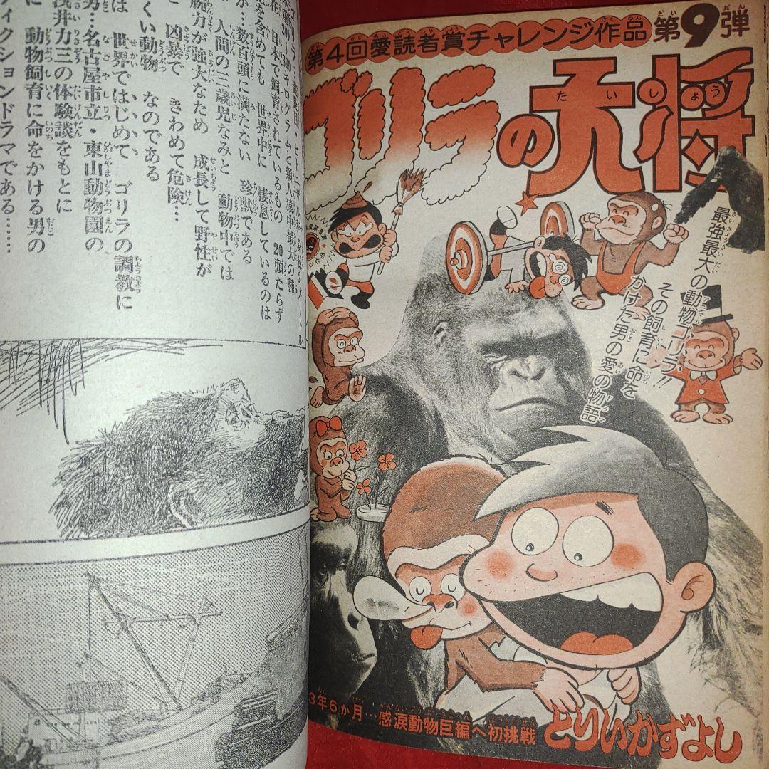 貴重当時物！週刊少年ジャンプ1976年5月3日号　 愛読者賞作品！ゴリラの大将●とりいかずよし 巻頭カラー！サーキットの狼●池沢さとし_画像5