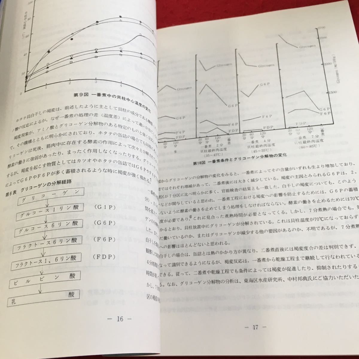 Z10-155 ホタテ白干し品質向上試験報告書 昭和59年3月 北海道立稚内水産試験場 北海道ホタテ漁業振興協会 塗りつぶし有り 製造 など_画像5