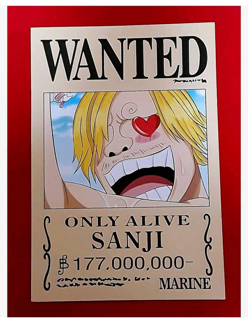 [ONE PIECE] пшеница ... один тест 9 листов урегулирование документ комплект rufizoro Sanji Usopp Nami Robin chopper Franky Brooke 