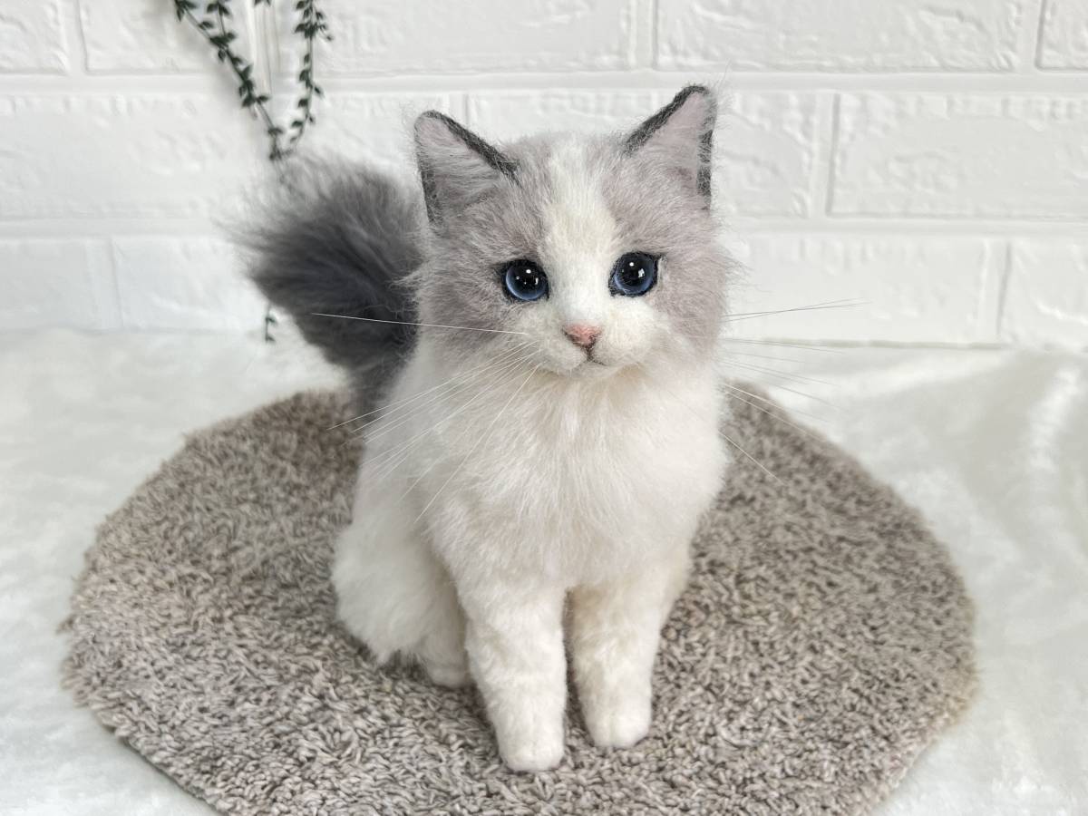 Yahoo!オークション - rune ラグドール 猫 ねこ Yahoo!オークション - rune ラグドール 猫 ねこ