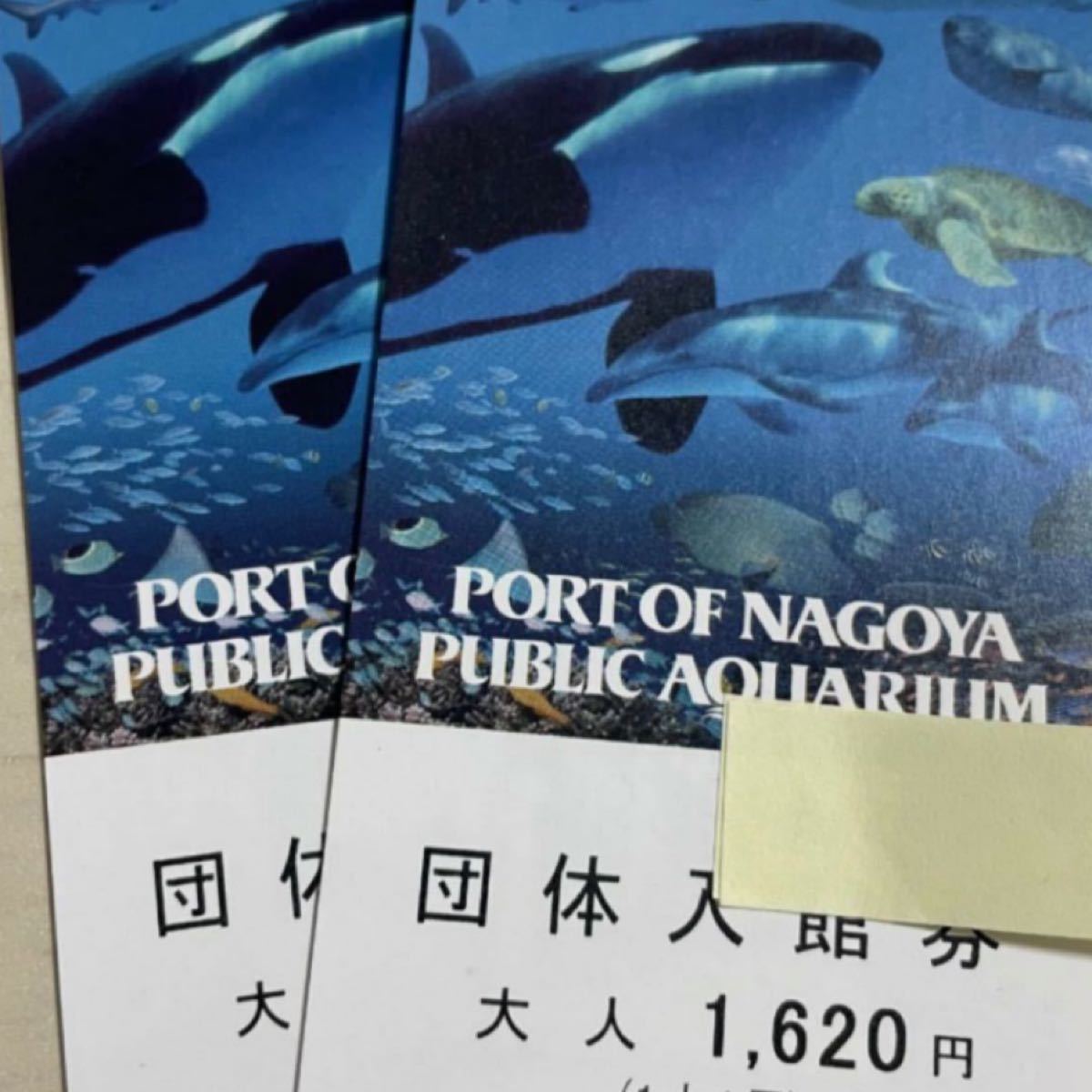 PayPayフリマ|名古屋港水族館 入館券 ペア 大人4名 入場券