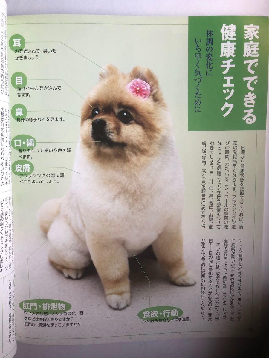 ★春セール★ ペット本　犬と暮らしを楽しもう　NHK 趣味悠々　マナー　しつけ　散歩　遊び方　健康　留守番　トイレ　無駄吠え