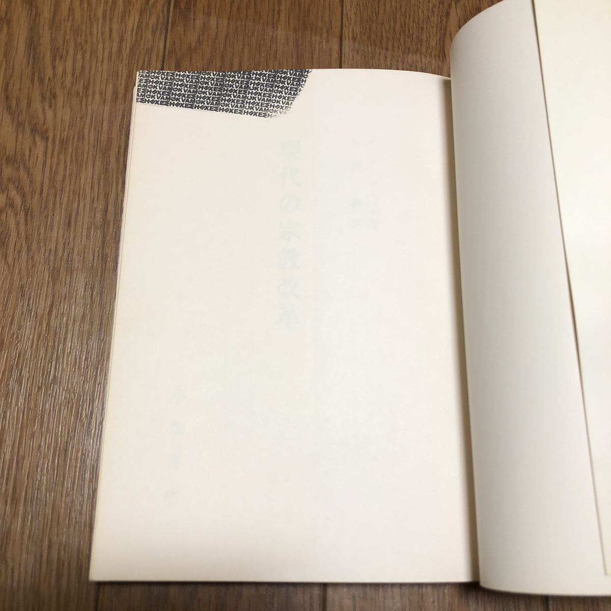 現代の宗教改革 クラス・ルーニア 有賀寿 小峯書店 キリスト教 聖書 異端 自由主義 エキュメニカル_画像6