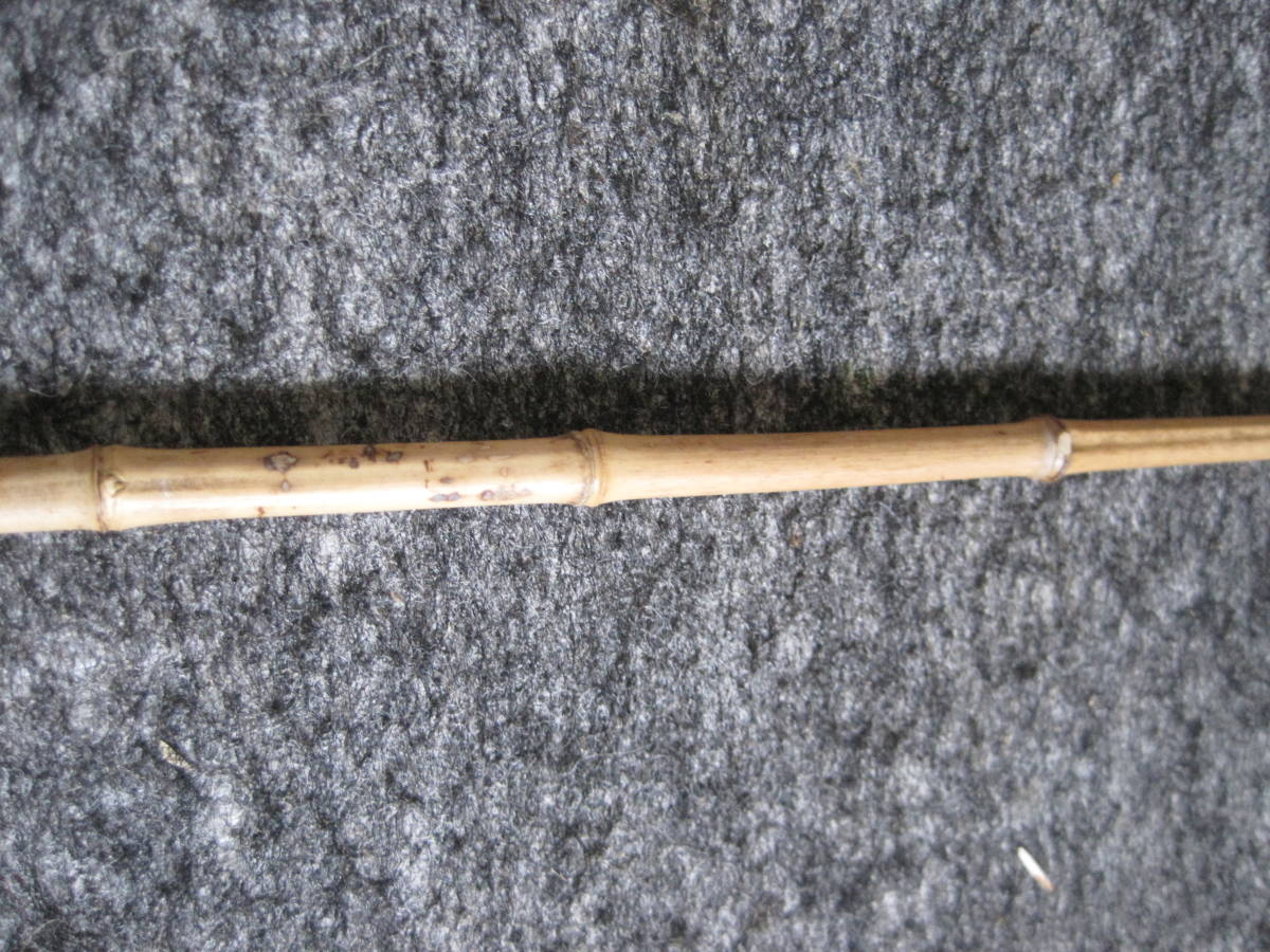 淡竹 根 J １本 布袋竹ではありません 釣具素材 長さ約３５cｍ 太さ元径約７．５ｍｍの画像5