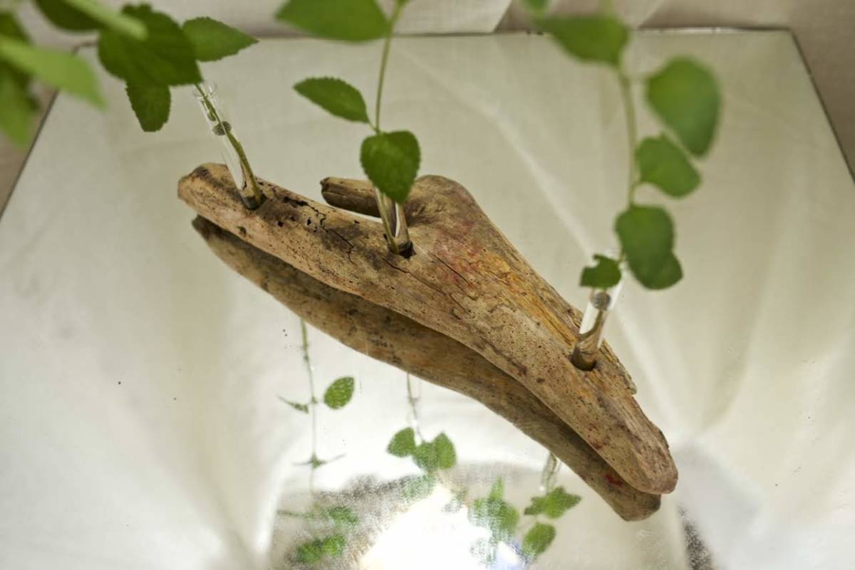 SEASIDEinterior* driftwood . work .. flower length &#34;DRIFTWOOD CENTERPIECE 14&#34;