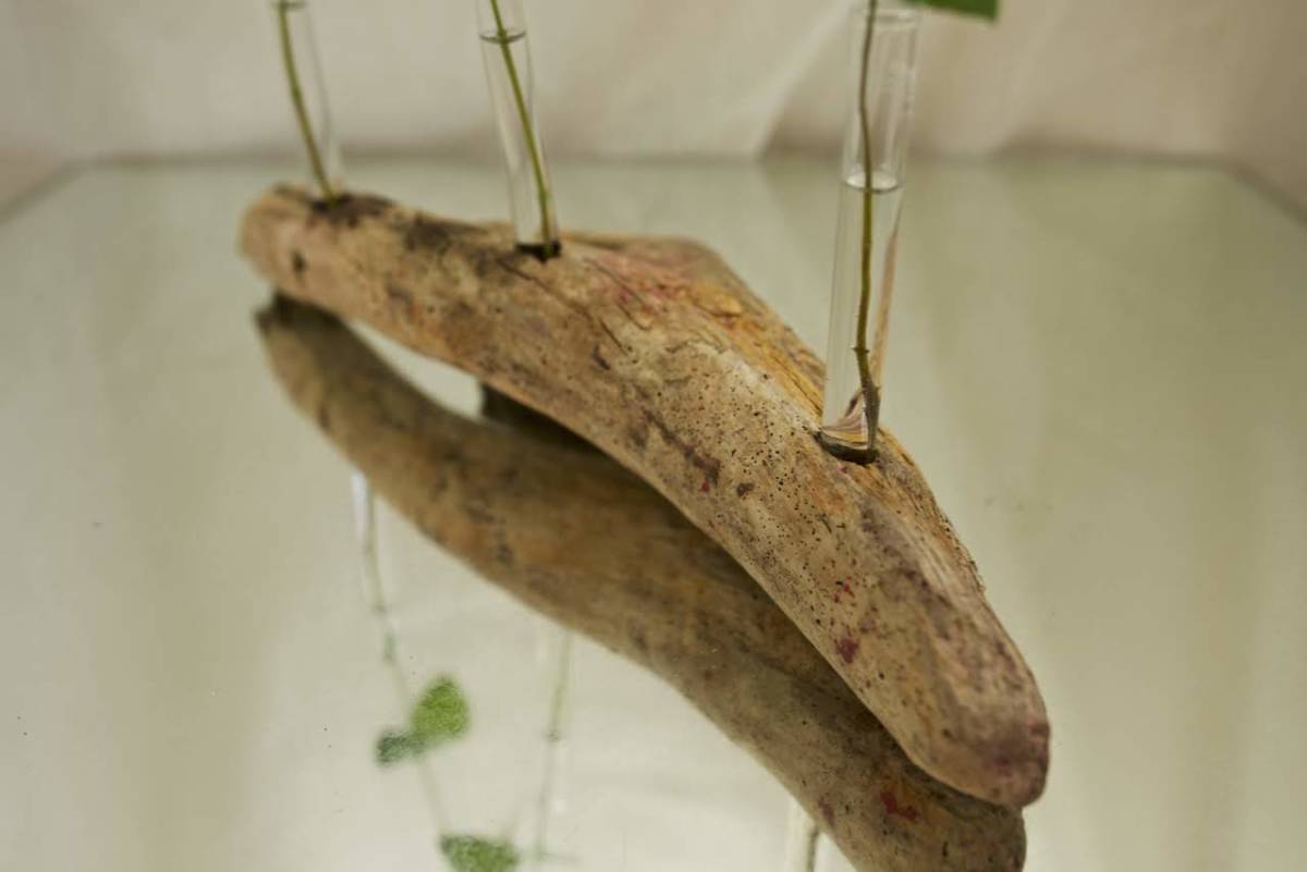 SEASIDEinterior* driftwood . work .. flower length &#34;DRIFTWOOD CENTERPIECE 14&#34;