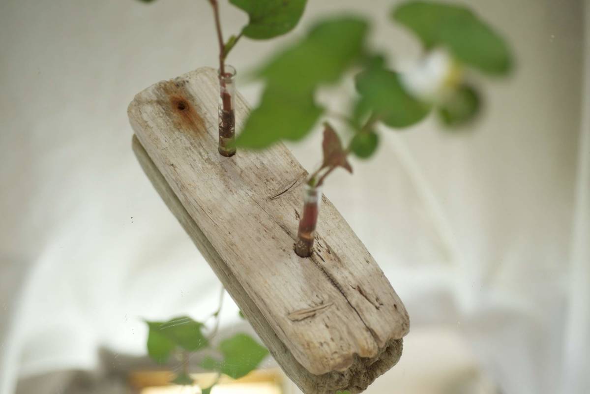 SEASIDEinterior* driftwood . work .. flower length &#34;DRIFTWOOD CENTERPIECE 26&#34;