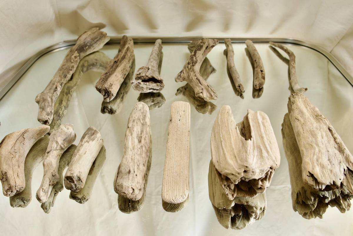 SEASIDEinterior☆短め、いろんな感じの流木16本セット,Cool driftwood for decorating 115_インテリアオブジェに！