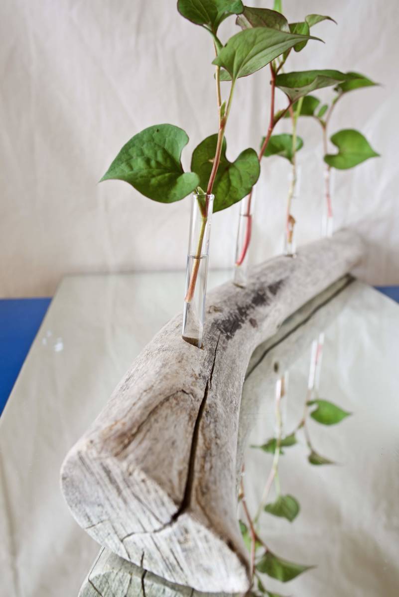 SEASIDEinterior* driftwood . work .. flower length &#34;DRIFTWOOD CENTERPIECE 35&#34;