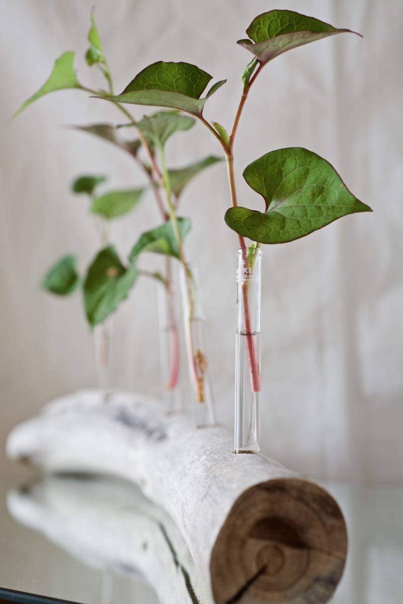 SEASIDEinterior* driftwood . work .. flower length &#34;DRIFTWOOD CENTERPIECE 35&#34;