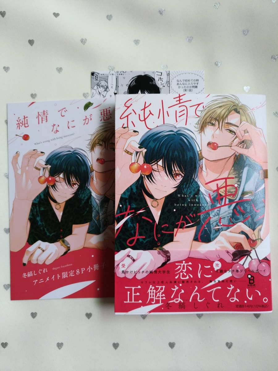 新しく着き 冬縞しぐれ 純情でなにが悪い サイン本 商業 BL 女性漫画