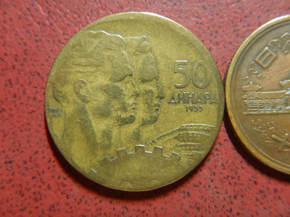 外国・ユーゴスラビア／５０ディナール・アルミニウム青銅貨（1955年）　22100102_画像1