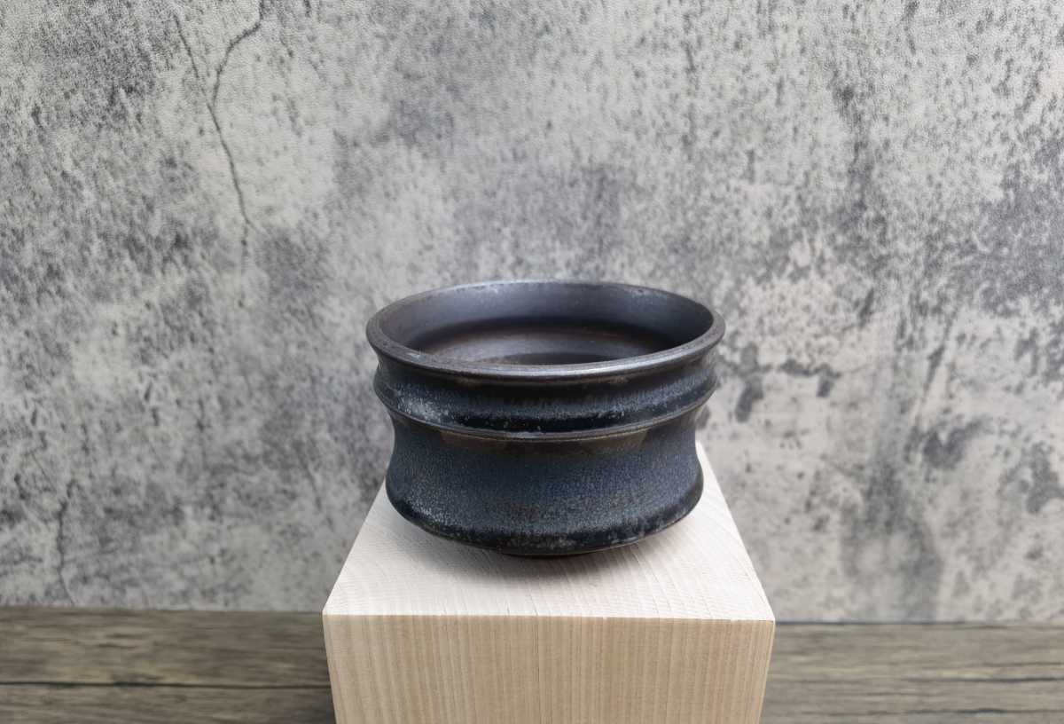 新作人気 ヤフオク! - banaken Botanize アート【検back side works/k