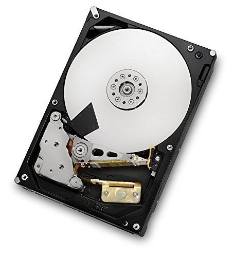 HGST Deskstar 3.5-Inch 4TB 7200 RPM SATA III 6Gbps 64MB Cache