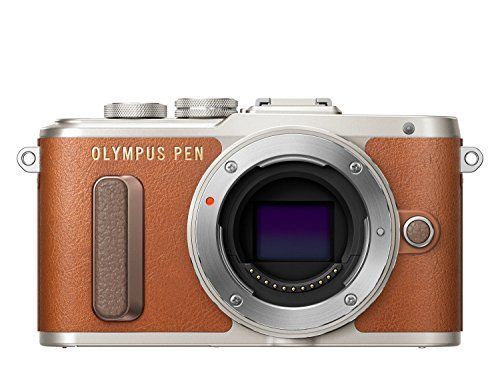 新品級】オリンパス OLYMPUSPEN E-PL8 ボディ-