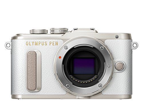 OLYMPUS ミラーレス一眼 E-PL8 ボディー ホワイト | www.mcttt.gov.fj