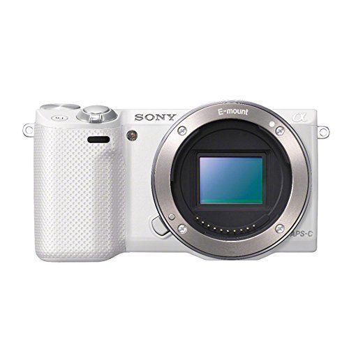 ソニー SONY ミラーレス一眼 α NEX-5R パワーズームレンズキット