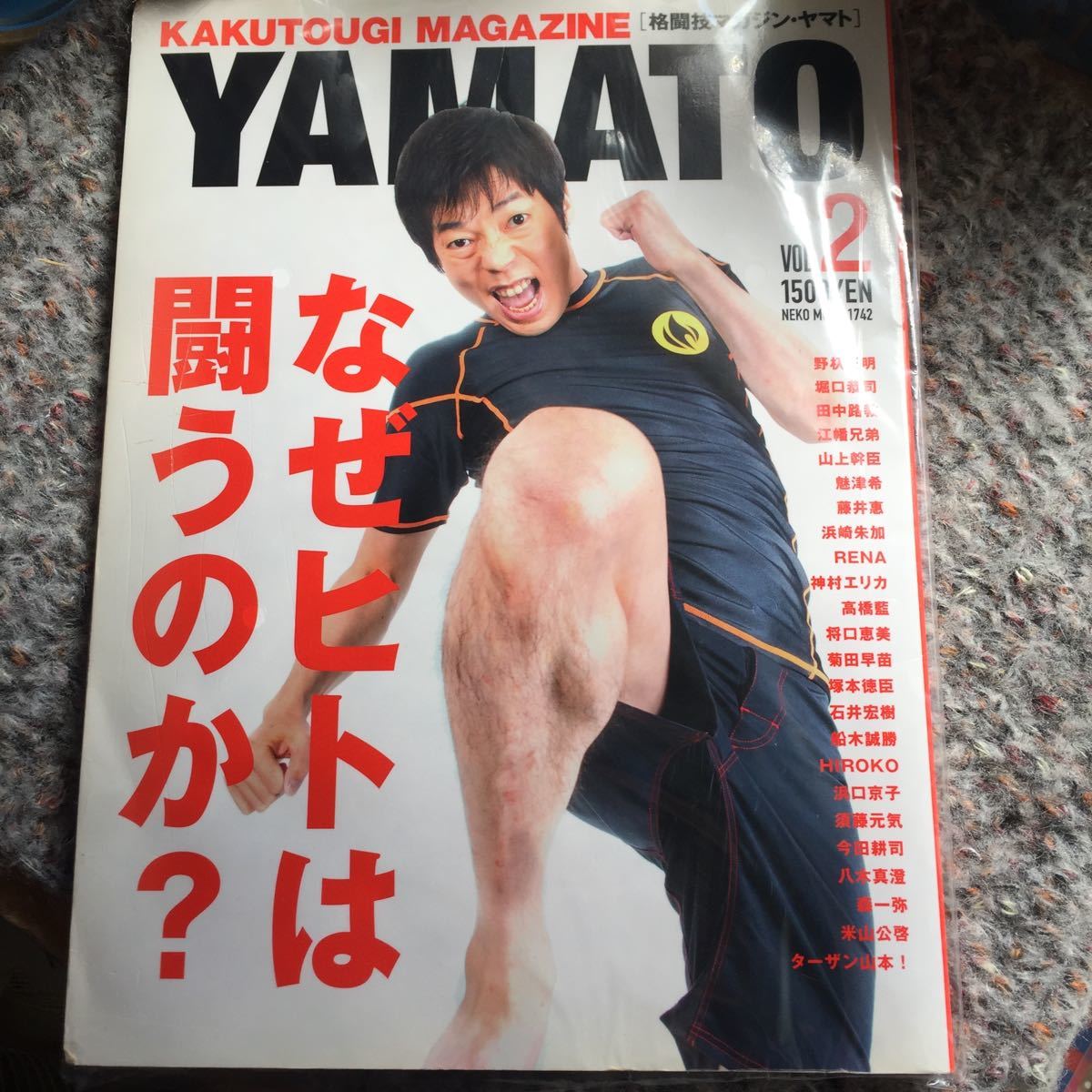 格闘技マガジン YAMATO 雑誌 三浦春馬&江幡兄弟 レア 希少品