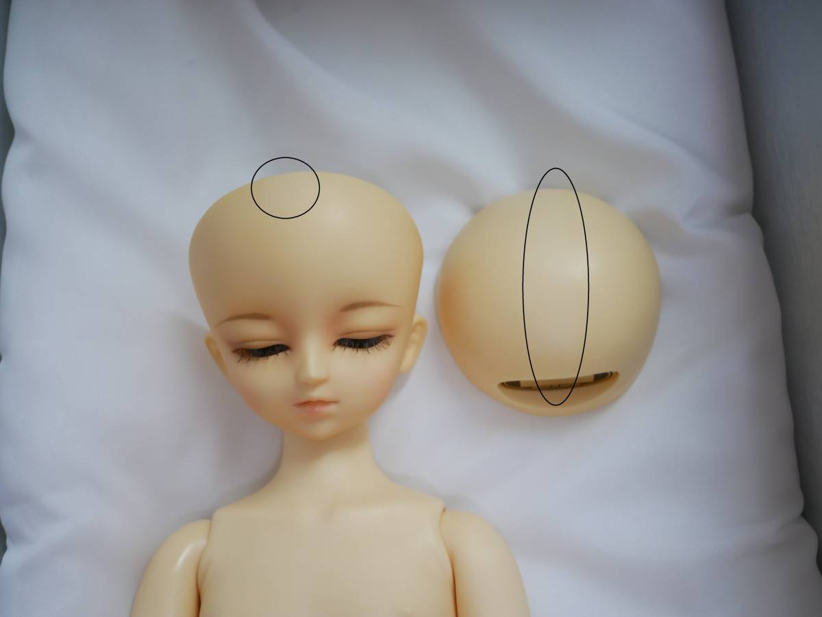 市場-エリ•ック 星間学寮Ver. フルセット• ボ - saaevermelhonovo.mg