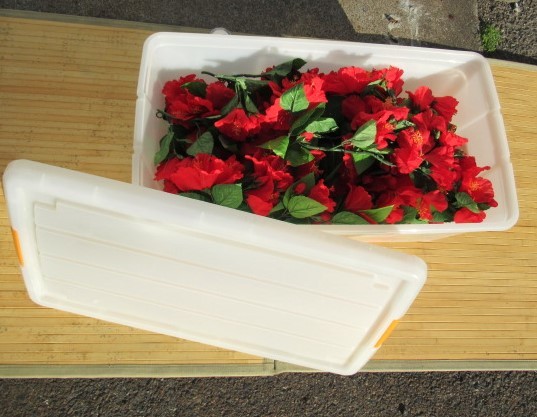 ②# гибискус # искусственный цветок / искусственный цветок совместно комплект с футляром красный магазин / дисплей аранжировка цветок Galland 