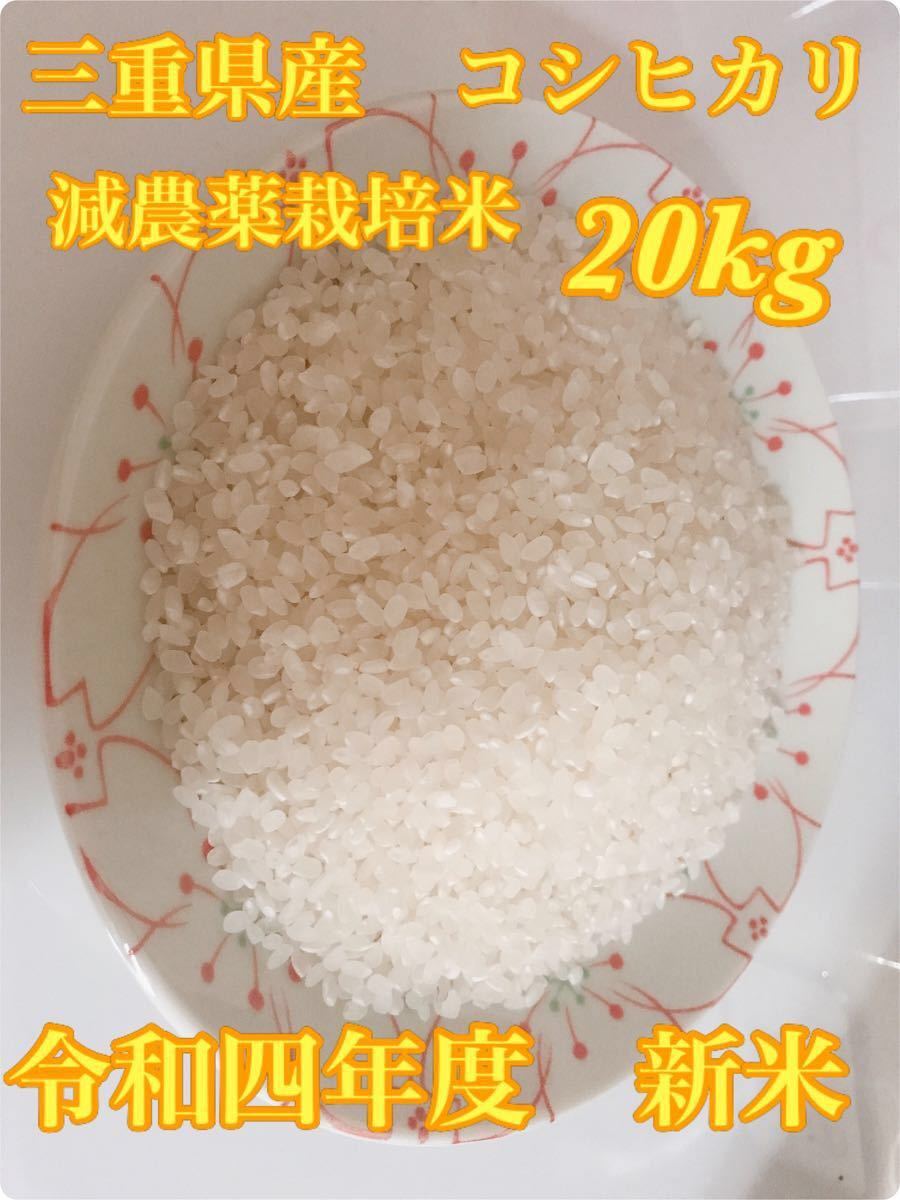 定価 送料込み 令和4年産 高知県産 新米コシヒカリ 玄米30㎏ 袋込み