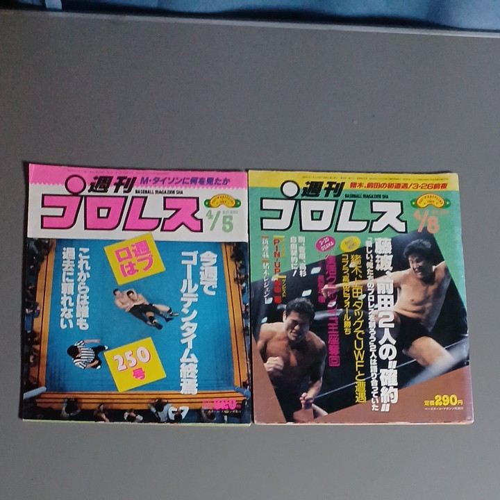 コレクター向け週刊プロレス二冊新日本VS UWF特集や、闘魂三銃士世代、全日本、女子プロなど送料込み