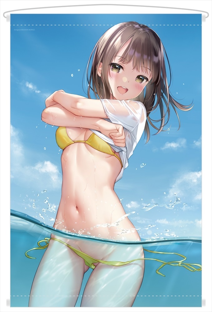 完璧主義 works mignon B2Wスエードタペストリー Doukyuusei-Chan Tapestry B2タペストリー オンリーショップ ミニョン perky ONLYSHOP 同級生ちゃん タペストリー