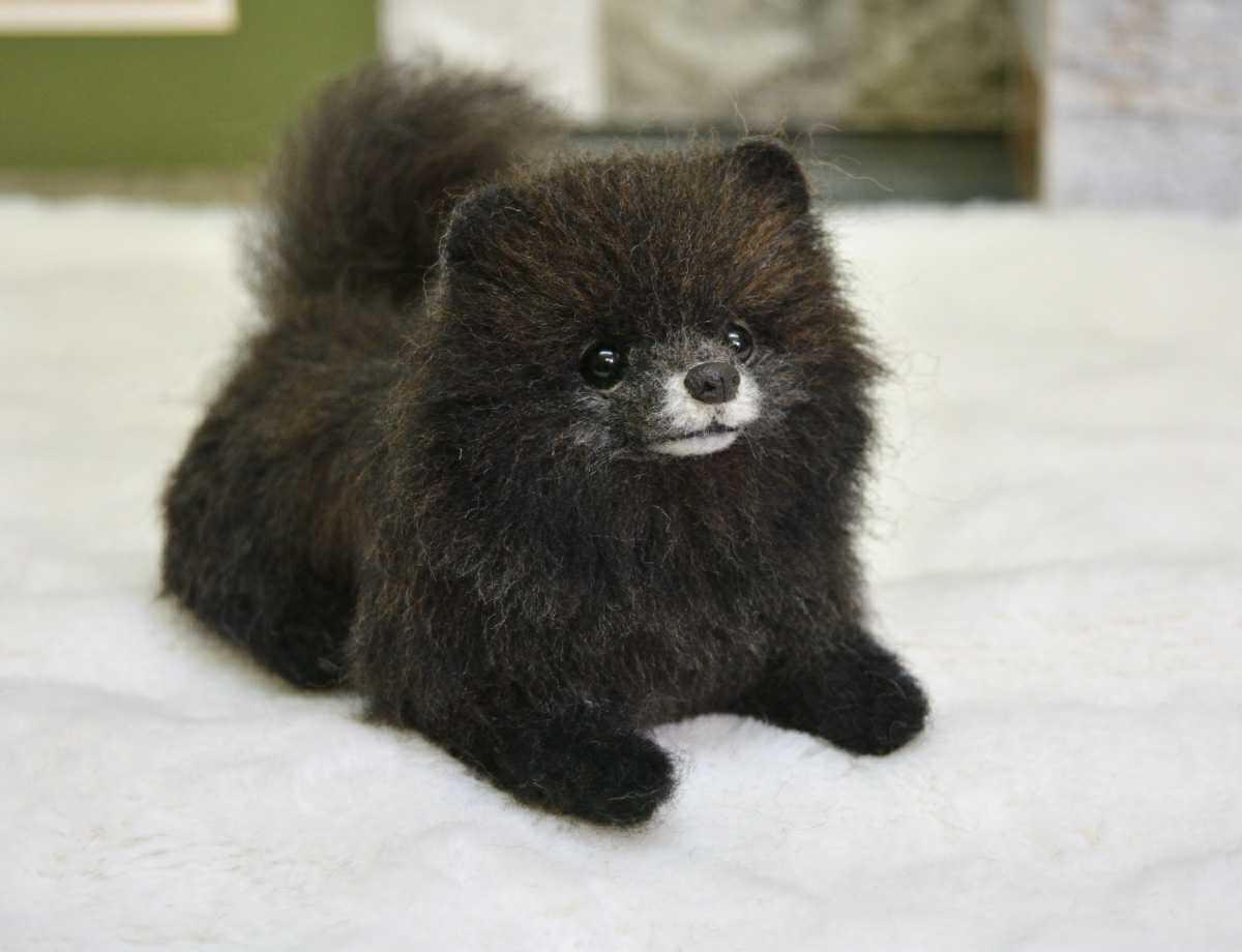 Yahoo!オークション - NE-NE 羊毛フェルト ポメラニアン 犬 黒