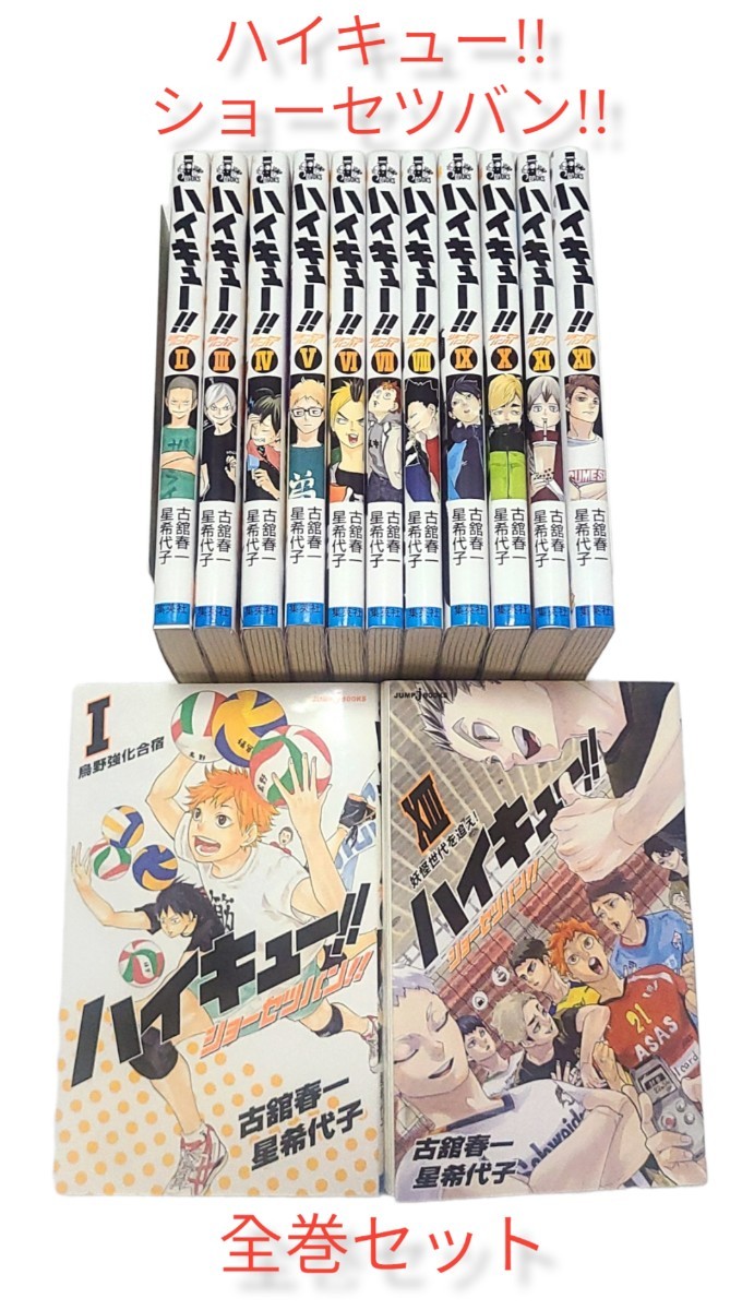 両面カバーも楽しい 【ハイキュー ショーセツバン 】全巻セット 両面カバーも楽しい 【ハイキュー ショーセツバン 】全巻セット