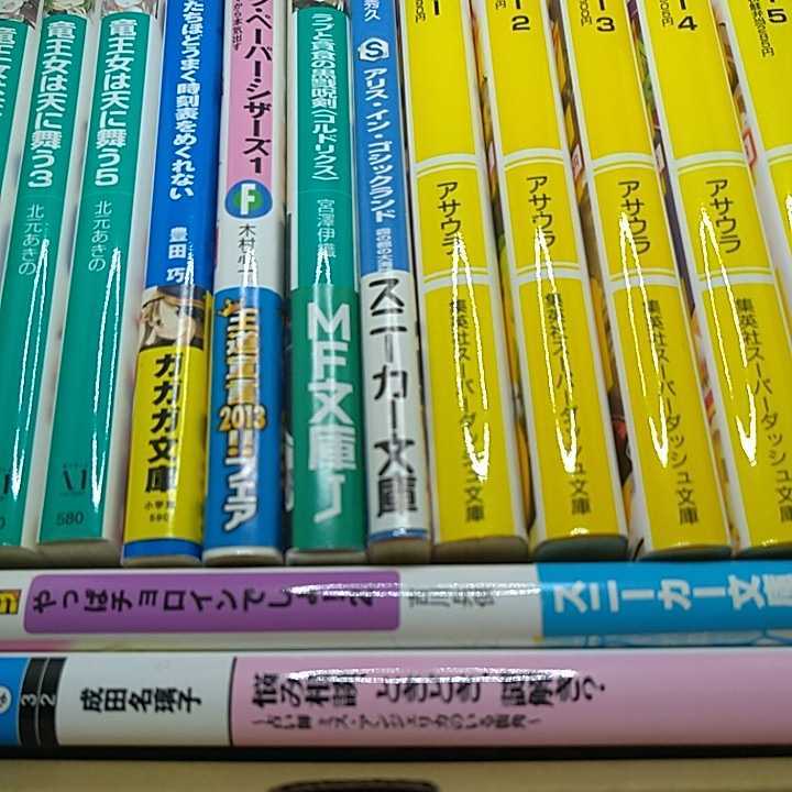 【お買い得！】ライトノベルまとめセット 15冊 ラノベ ラブと貪食の黒戮呪剣 竜王女は天に舞う ベン・トー他【60サイズ箱】_画像4