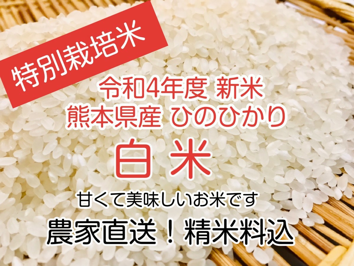 良質上白米 超得々 10kg（5kg×2）白米 送料込み