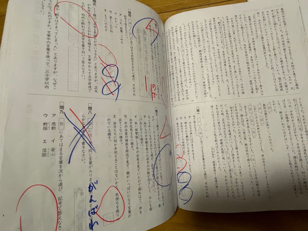 2022年度】 中学受験 新演習 国語 小6 下｜Yahoo!フリマ（旧