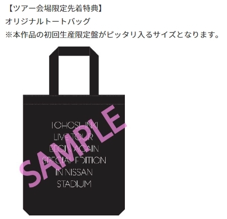 美品/送料込★東方神起 LIVE TOUR~Begin Again~Special Edition in NISSAN STADIUM(初回)DVD 3枚★写真集&先着特典オリジナルトートバッグ_会場限定先着特典オリジナルトートバッグ