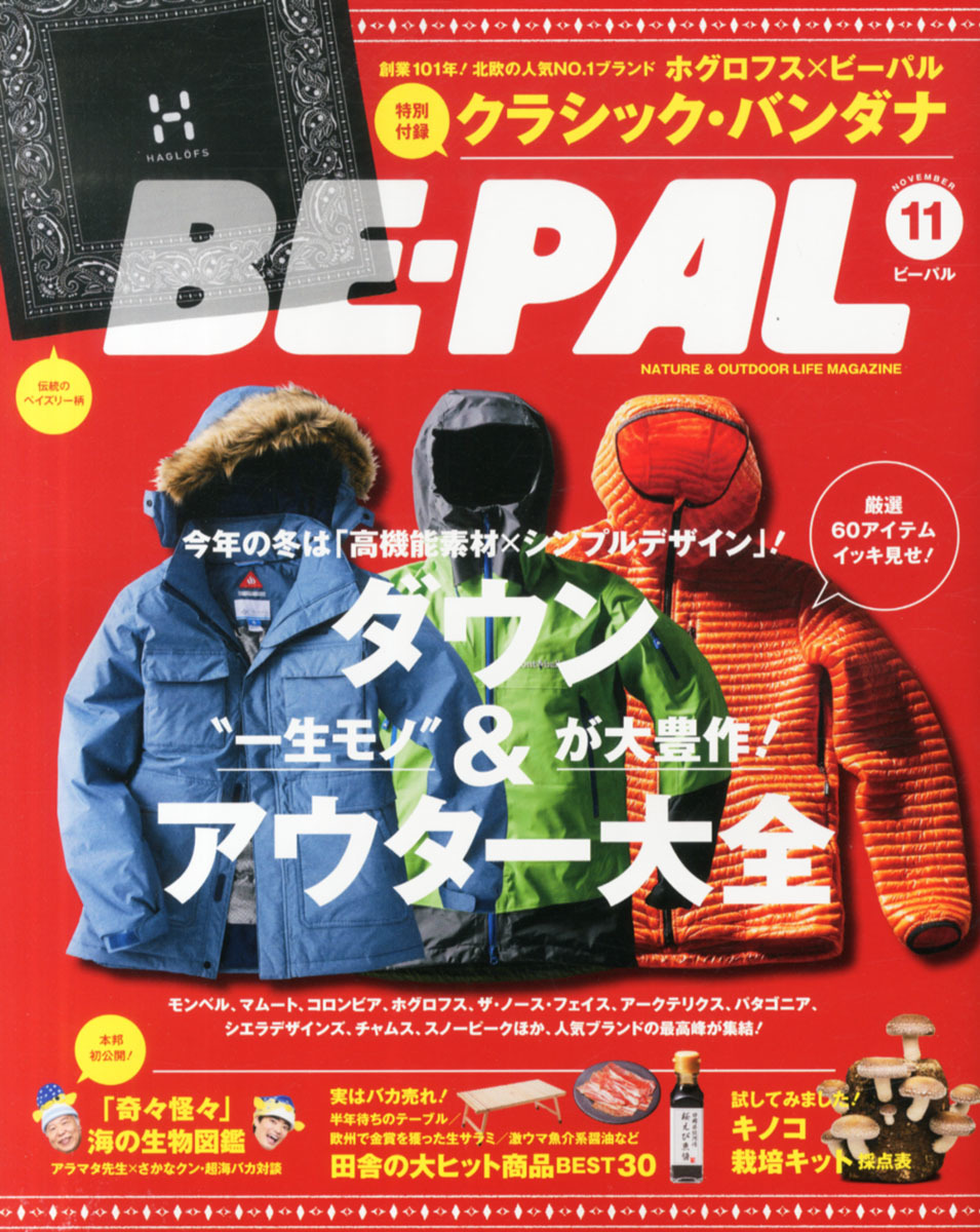 新品未開封！激レア！■HAGLOFS x BE-PAL クラシックバンダナ■ 1_画像5