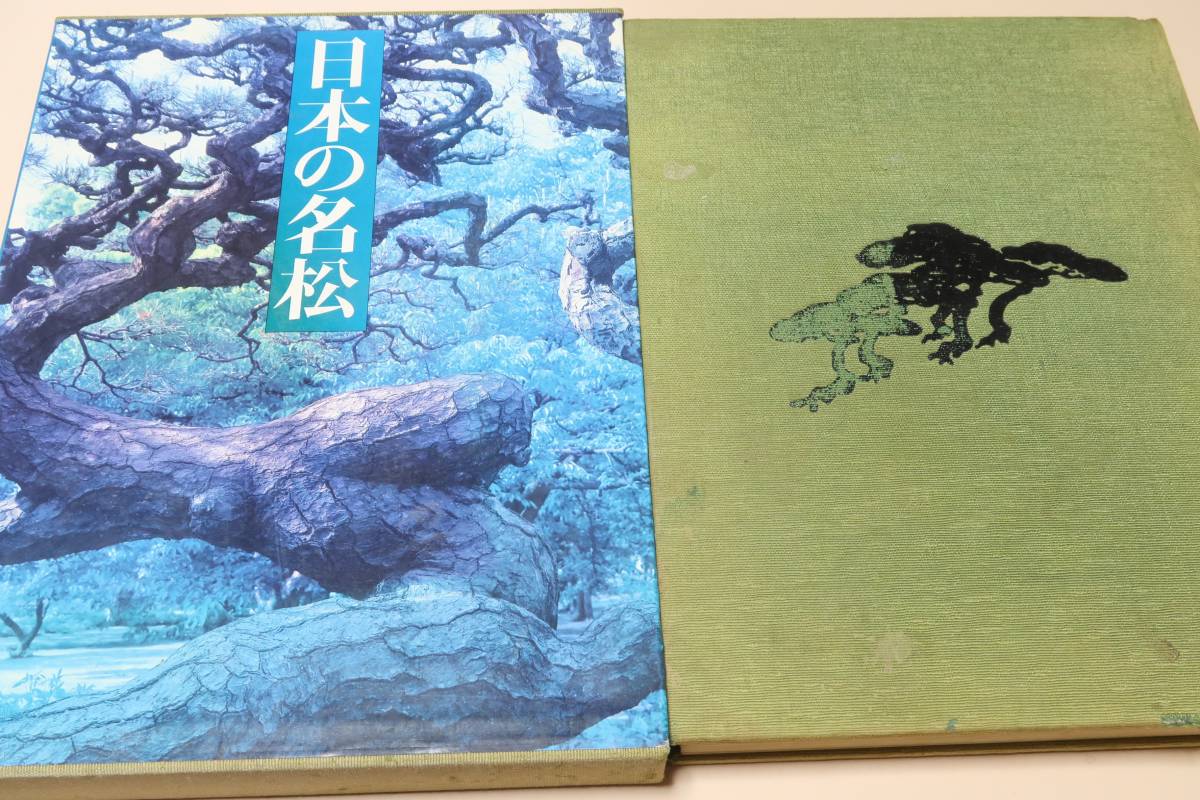 日本の名松・自然・庭園・盆栽/東山魁夷/日本庭園と松・中根金作/松と盆栽・加藤三郎/収録盆栽解説・加藤三郎/自然の松/庭園の松/盆栽の松_画像1